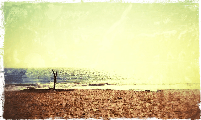 solitary beach